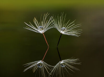 nirvana-column2 nirvana-column2